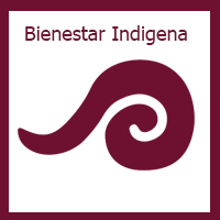 bienestar indigena bienestar indigena