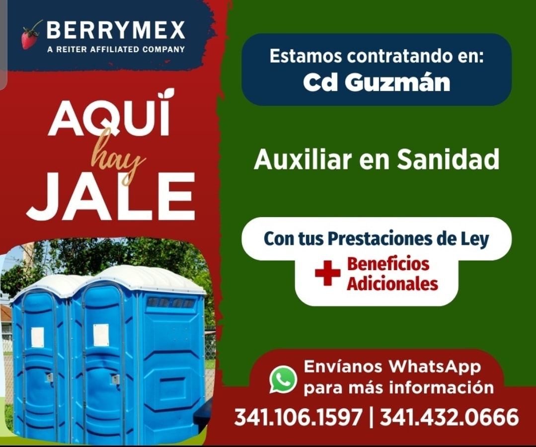 Auxiliar de sanidad